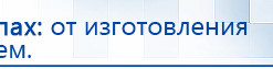 СКЭНАР-1-НТ (исполнение 02.1) Скэнар Про Плюс купить в Зарайске, Аппараты Скэнар купить в Зарайске, Дэнас официальный сайт denasolm.ru